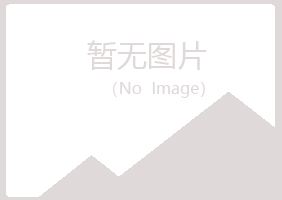 鸡西麻山空气金属有限公司